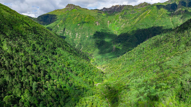 Gaoligongshan National Nature Reserve