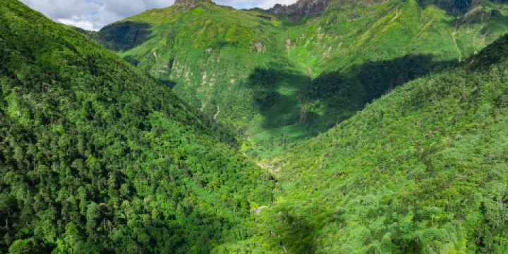 高黎貢山自然保護區