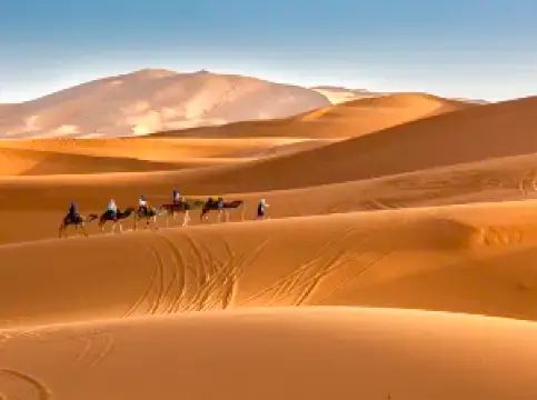 เมอร์ซูกา