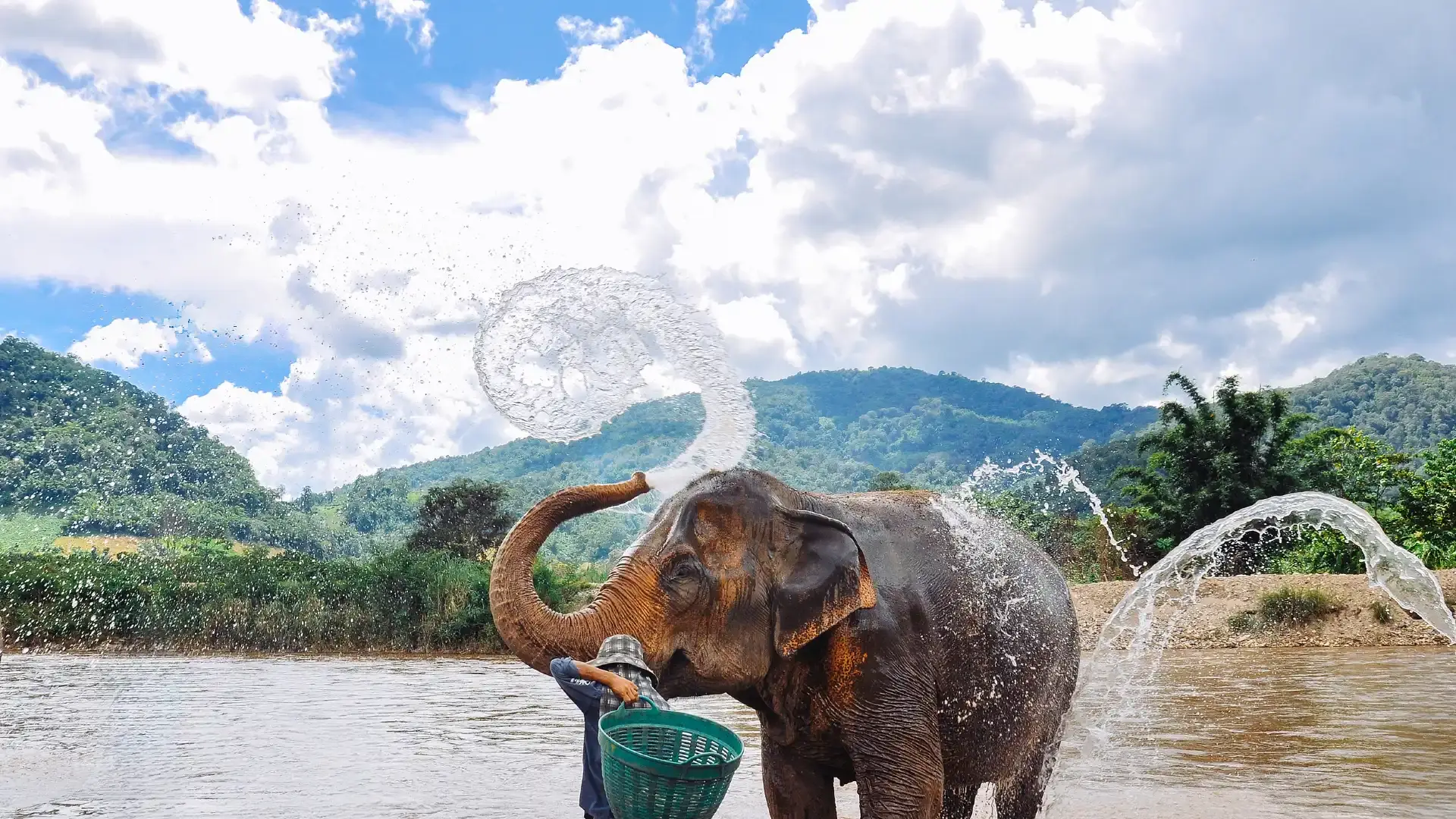 Hotels near Elephant Nature Park