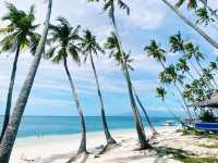 Sunsets, coconuts, sand and sea 
