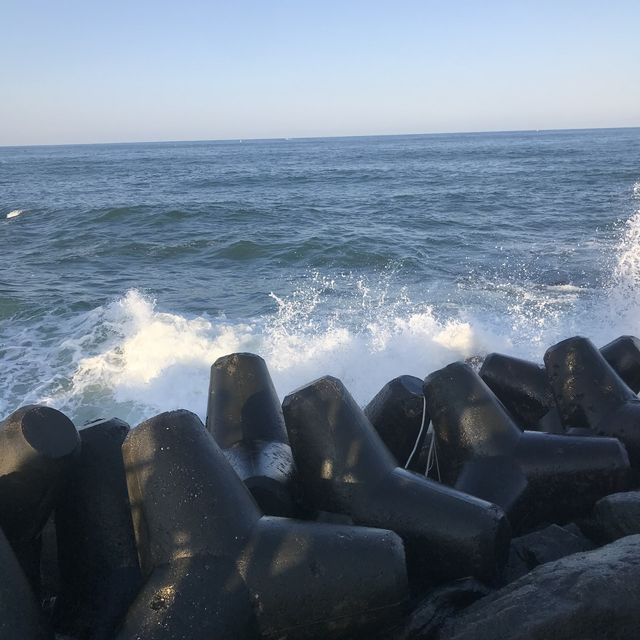 안목해변과 강릉시장