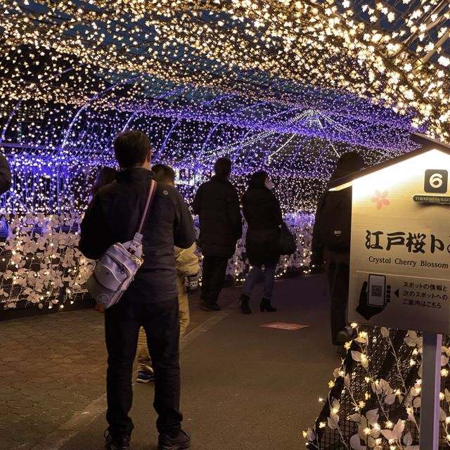 競馬だけではない( ˘ᵕ˘ )大井競馬場