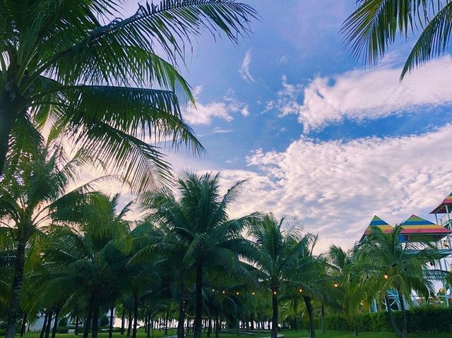 Sunsets, coconuts, beach and everything