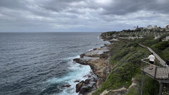 Waverley Cemetery Viewpoint