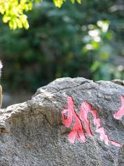 Nanwan Monkey Island