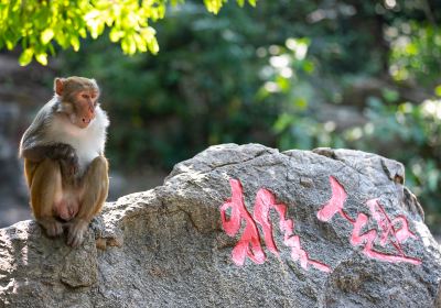 Nanwan Monkey Island