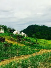 충칭 펭 Shui Aishan 벚꽃 대초원 관광 리조트