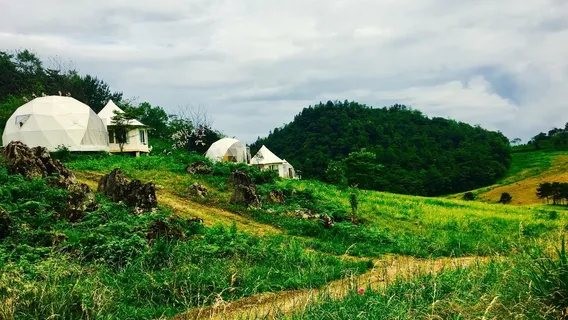 Ayi Mountain Cherry Blossom Prairie Tourist Resort, Pengshui County, Chongqing