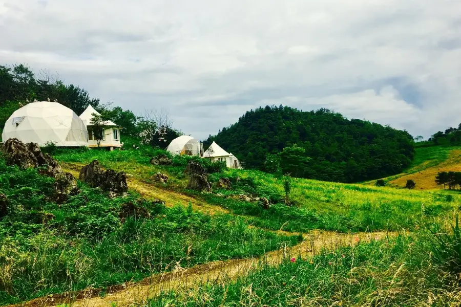 충칭 펭 Shui Aishan 벚꽃 대초원 관광 리조트