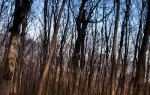 Tieshan Temple National Forest Park