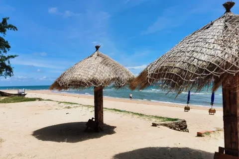 Shell Beach