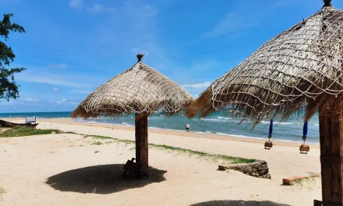 Shell Beach