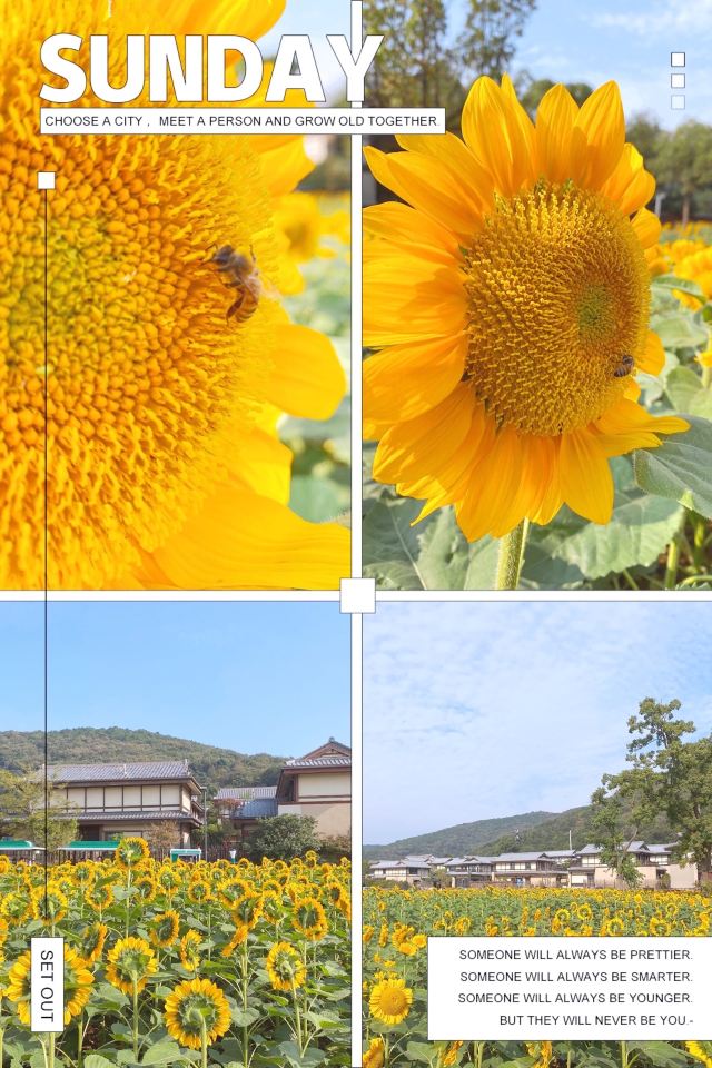 Lingshan Town, Nianhua Bay
