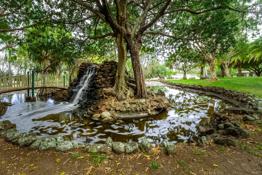 麥金托什島公園