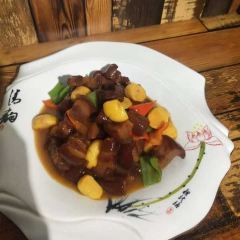 Yun Qin User Photo