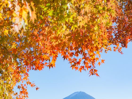 Lake Kawaguchi Kitahara Museum Happy Days