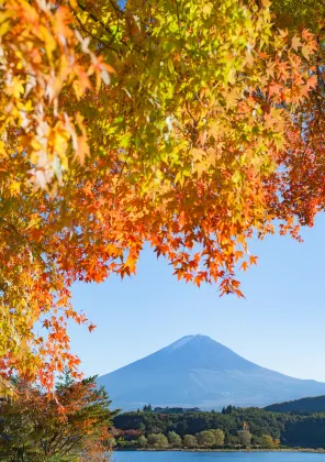 富士河口湖の温泉 ホテル