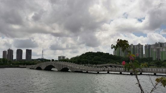 广东省阳江市市政府旁边的一个很大的湖泊，在市区内属于城市绿肺