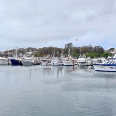 The Wharf User Photo