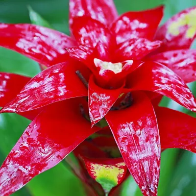 Отзывы об отеле Kobe City Gardens Hotel (Formally Hotel Kobe Shishuen)