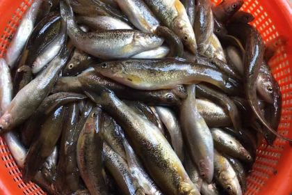 山水人家农家乐