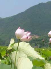 Yinshan Huxiang Cultural Source Ecological Tourism Area