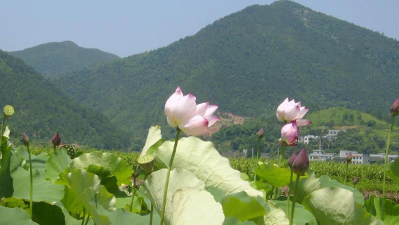 Yinshan Huxiang Cultural Source Ecological Tourism Area