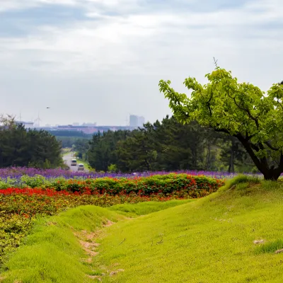 Weihai Four Seasons Yaju Bed and Breakfast