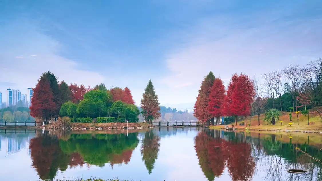 Hotels near Zhejiang Agriculture & Forestry University