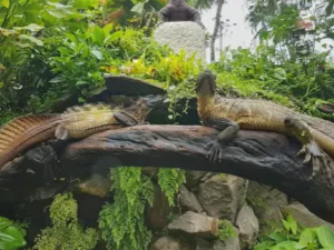 巴厘島爬行動物公園