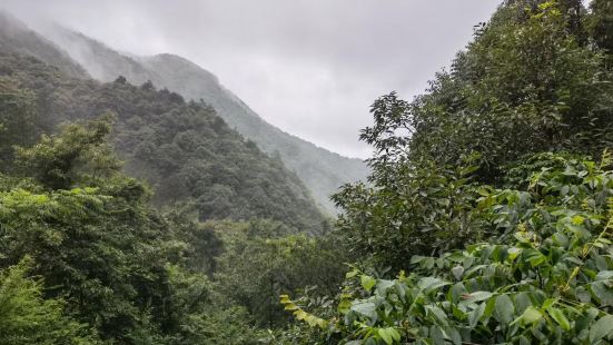 鸣鹤古镇+栲栳山徒步，始终处于第一梯队[得意]【趣味】徒步好