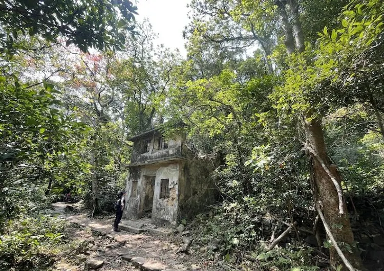 【夏日行山好去處】避暑、免曝曬 五條夏天行山路線 水塘行山 有林蔭