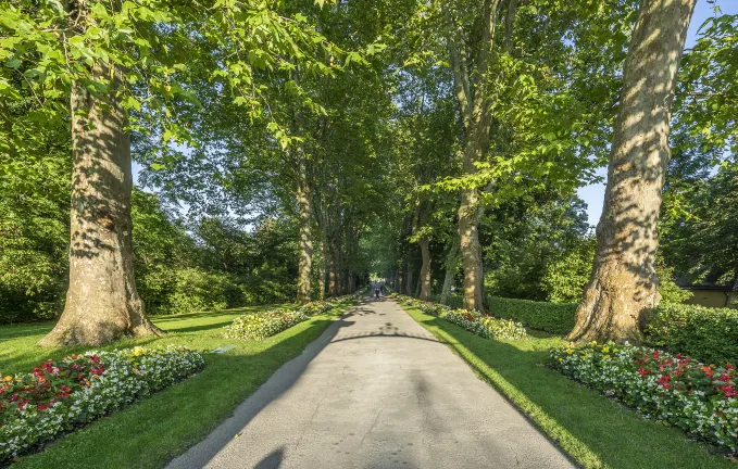 Hotels in der Nähe Landesgartenschau