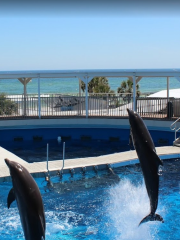 Gulfarium Marine Adventure Park