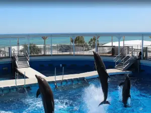 Gulfarium Marine Adventure Park