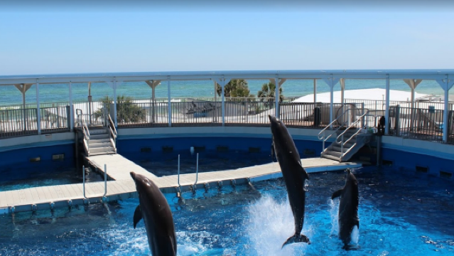 Gulfarium Marine Adventure Park