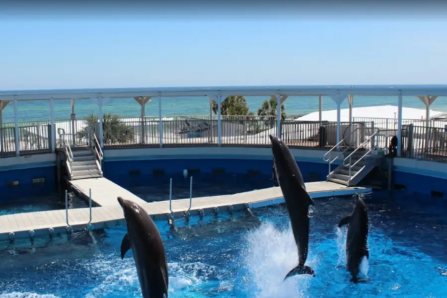 Gulfarium Marine Adventure Park