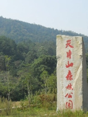 Yueyang Junshan Tianjingshan Forest Park