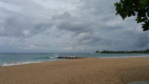 Cardiff Hall Beach Club