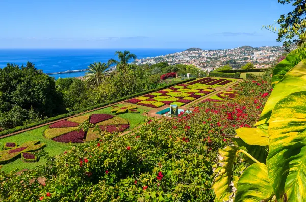 Vé máy bay Funchal Ekaterinburg