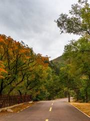 Wudaogou Scenic Area