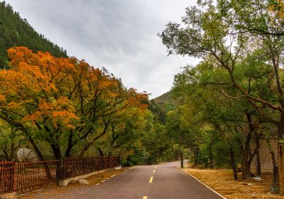 Wudaogou Scenic Area