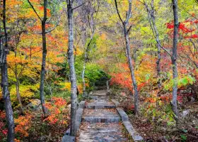 大連天門山國家森林公園