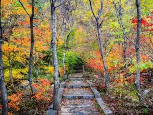 Tianmenshan National Forest Park