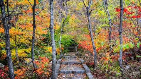 Tianmenshan National Forest Park attraction in Dalian