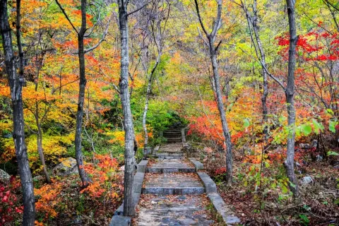 Tianmenshan National Forest Park
