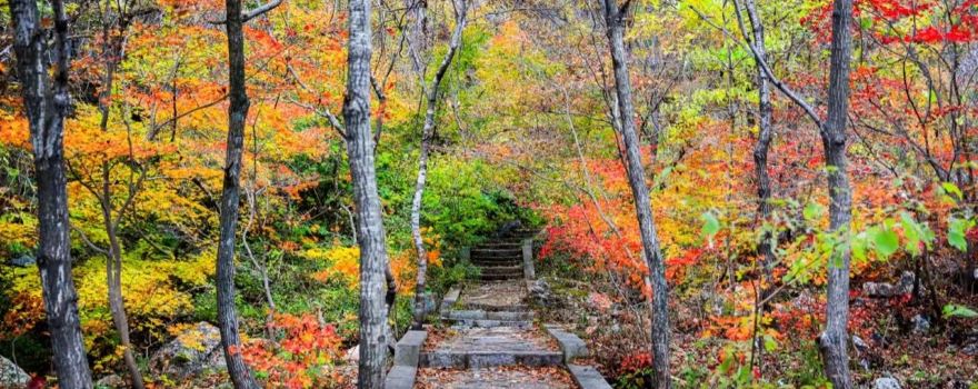 Tianmenshan National Forest Park