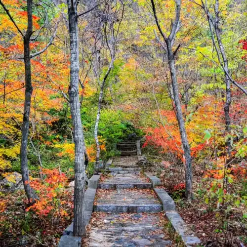 Popular Cool Water Escapes in Zhuanghe