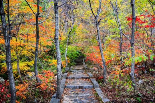 Tianmenshan National Forest Park